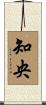 知央 Scroll