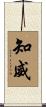 知威 Scroll