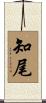 知尾 Scroll