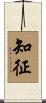 知征 Scroll