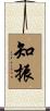 知振 Scroll