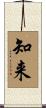 知来 Scroll
