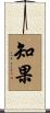 知果 Scroll