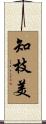 知枝美 Scroll