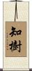 知樹 Scroll