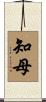 知母 Scroll