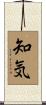 知気 Scroll
