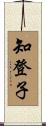 知登子 Scroll