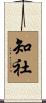 知社 Scroll