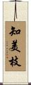 知美枝 Scroll