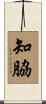 知脇 Scroll
