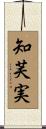 知芙実 Scroll