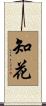 Chikara Scroll