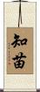 知苗 Scroll