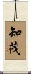 知茂 Scroll