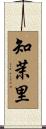 知茉里 Scroll