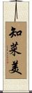 知菜美 Scroll