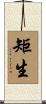 矩生 Scroll
