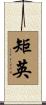 矩英 Scroll