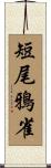 短尾鴉雀 Scroll