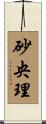 砂央理 Scroll