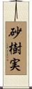 砂樹実 Scroll
