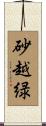 砂越緑 Scroll