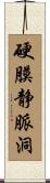 硬膜静脈洞 Scroll