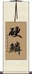 硬鱗 Scroll