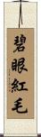 碧眼紅毛 Scroll