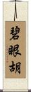 碧眼胡 Scroll