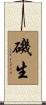 磯生 Scroll