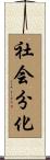 社会分化 Scroll