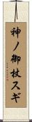 神ノ御杖スギ Scroll