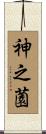神之薗 Scroll