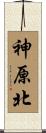 神原北 Scroll