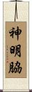 神明脇 Scroll