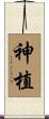 神植 Scroll