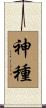 神種 Scroll