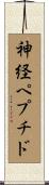神経ペプチド Scroll