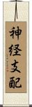 神経支配 Scroll