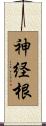 神経根 Scroll