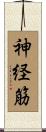 神経筋 Scroll