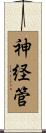 神経管 Scroll