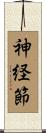 神経節 Scroll