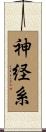神経系 Scroll