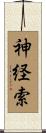 神経索 Scroll