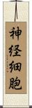 神経細胞 Scroll