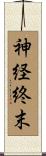 神経終末 Scroll