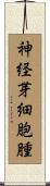 神経芽細胞腫 Scroll